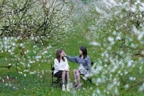 Du lịch Mộc Châu mùa đông những điểm đến không thể bỏ lỡ