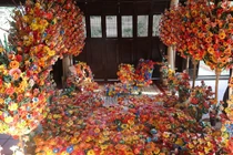 Về Thanh Tiên ngắm hoa giấy thủ công nhuộm sắc xuân xứ Huế