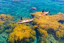 Đến Nhơn Hải, thả dáng giữa cánh đồng rong mơ kỳ ảo