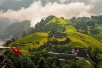 Ngắm mùa vàng Hoàng Su Phì, chọn tour hay tự túc để trải nghiệm trọn vẹn?