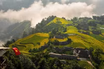 Ngắm mùa vàng Hoàng Su Phì, chọn tour hay tự túc để trải nghiệm trọn vẹn?