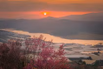 Đến Mộng Đào Nguyên ngắm mai anh đào khoe sắc, chọn đi tour hay tự túc?