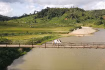 Lên Măng Đen, đắm chìm trong vẻ nguyên sơ của 'Đà Lạt thứ hai'
