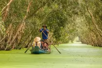 Mùa nước nổi miền Tây có gì đặc biệt mà hút đông khách?