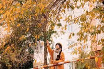 Ghé Đà Lạt mùa cây thay lá, ngắm sắc vàng đỏ phủ khắp phố núi