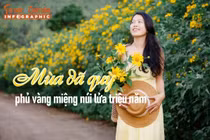 [INFOGRAPHIC] Mùa dã quỳ phủ vàng miệng núi lửa triệu năm