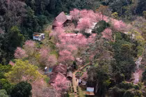 Măng Đen rộn ràng xuân mới, gọi bước chân du khách mê khám phá