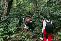 Bí kíp khám phá Vườn Quốc gia Cúc Phương tránh rủi ro cho du khách