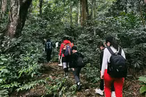 Bí kíp khám phá Vườn Quốc gia Cúc Phương tránh rủi ro cho du khách