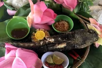 Thơm lừng cá lóc nướng trui cuốn lá sen non Đồng Tháp
