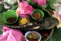 Về Đồng Tháp ăn cá lóc nướng trui cuốn lá sen non thơm lừng