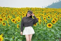 Cánh đồng hoa hướng dương Nghệ An rực vàng, điểm hẹn hút khách cuối năm