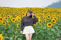 Cánh đồng hoa hướng dương Nghệ An rực vàng, điểm hẹn hút khách cuối năm