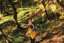 Ngỡ ngàng trước vẻ đẹp cổ tích của rừng Sa Mu trên đỉnh Tà Xùa