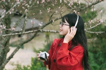 Hoa đào nở sớm nơi rẻo cao Tà Xùa, hút du khách checkin giữa núi rừng Tây Bắc