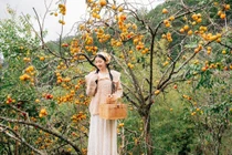 Đà Lạt mùa hồng rực rỡ, du khách hóa cô thôn nữ giữa phố núi mộng mơ