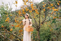 Đà Lạt mùa hồng rực rỡ, du khách hóa cô thôn nữ giữa phố núi mộng mơ