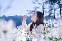 Ảnh Lương Thế Anh