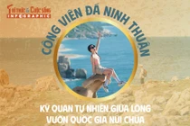 Công viên đá Ninh Thuận kỳ quan tự nhiên giữa lòng vườn quốc gia núi chúa