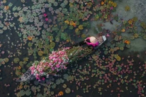 Check-in Tây Ninh mùa hoa súng nở, trải nghiệm miền sông nước đẹp như tranh