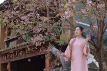 Du khách nên theo dõi thông tin trước khi lên đường để chọn đúng thời điểm hoa nở đẹp. Do thời tiết vùng cao còn lạnh, cần chuẩn bị trang phục giữ ấm và tôn trọng không gian sinh hoạt của người dân địa phương khi tham quan, chụp ảnh. Ảnh Nguyễn Ngọc Đô