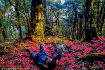 5 cung trekking mùa xuân miền Bắc khiến dân mê xê dịch 'đứng ngồi không yên'