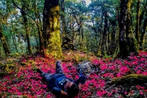 5 cung trekking mùa xuân miền Bắc khiến dân mê xê dịch 'đứng ngồi không yên'