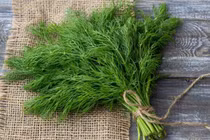 Hai loại rau gia vị quen thuộc giúp giữ ấm, tăng sức đề kháng mùa lạnh