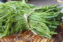 4 loại rau đặc sản theo mùa ở Việt Nam, có loại tới triệu đồng/kg