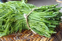 4 loại rau đặc sản theo mùa ở Việt Nam, có loại tới triệu đồng/kg