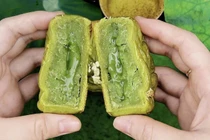 Loại nhân bánh Trung thu 'làm mưa làm gió' mùa trăng 2025