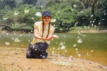 Rừng Cúc Phương 'gây sốt' mùa bướm, trải nghiệm chỉ từ 100.000 đồng