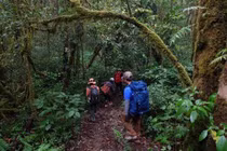 Trekking an toàn cẩm nang không thể thiếu cho người mê khám phá núi rừng