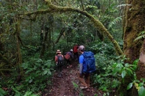 Trekking an toàn cẩm nang không thể thiếu cho người mê khám phá núi rừng