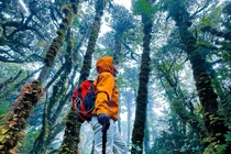 Chinh phục Phu Sa Phìn vượt rừng rêu, đón biển mây nơi đại ngàn Tây Bắc