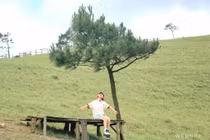 Du lịch Quảng Ninh mùa thu có gì hấp dẫn khiến du khách mê mẩn?