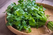 Rau mùi hỗ trợ thải độc, giảm gánh nặng cho gan