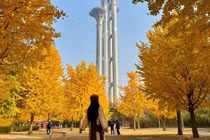 'Săn' mùa thu vàng ở Bắc Kinh, chọn tour nào để trọn vẹn hành trình?
