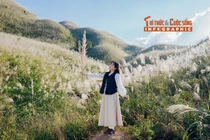 [INFOGRAPHIC] Bình Liêu mùa lau trắng