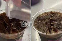 Ly cà phê ‘rùng rợn’ từ bột gián và ấu trùng sâu vàng khiến du khách tò mò