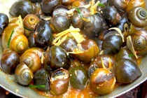 Loại ốc giàu dinh dưỡng, ít chất béo, tốt cho tim mạch, xương khớp