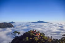 Bạch Mộc Lương Tử hút khách với biển mây và sắc đỏ rừng phong