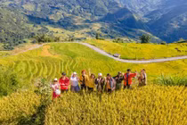 Gợi ý điểm đến mùa thu phù hợp cho chuyến đi gia đình