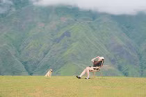 Tránh nóng ngày hè, lên Tà Xùa tận hưởng thiên nhiên xanh