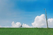 Đê cỏ lau giữa Hà Nội, góc chụp khiến nhiều người ngỡ ở Nhật