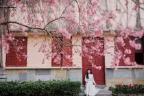 Khách Việt chuộng Đà Lạt du xuân Tết, Nhật Bản dẫn đầu tour xuất ngoại