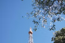 Đà Lạt mùa hoa ban trắng, gợi ý những cung đường nên ghé