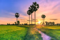 3 điểm du lịch đẹp, ít người biết dành cho người mê khám phá nhẹ nhàng