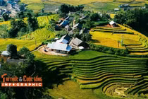 [INFOGRAPHIC] Tả Van 'Chiang Mai thu nhỏ' giữa đại ngàn Tây Bắc 