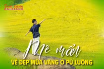 Mê mẩn vẻ đẹp mùa vàng ở Pù Luông 